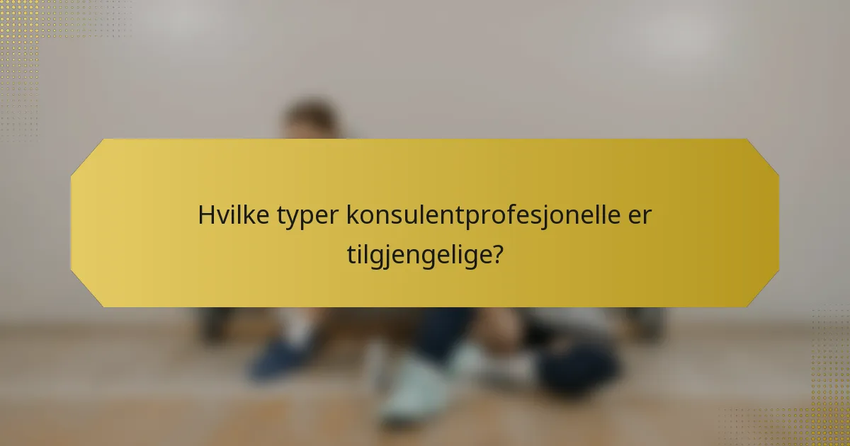 Hvilke typer konsulentprofesjonelle er tilgjengelige?