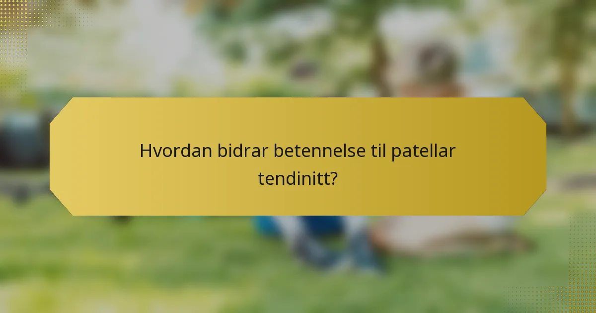 Hvordan bidrar betennelse til patellar tendinitt?